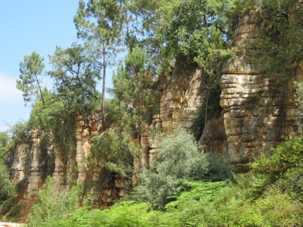 Cantera de Piedra Caliza